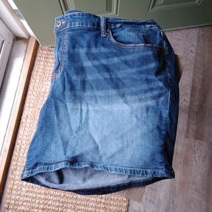 Torrid Denim Shorts 24